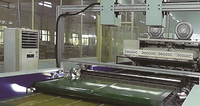 Automatic Inspection Line For Printing Quality Of Metal Sheet