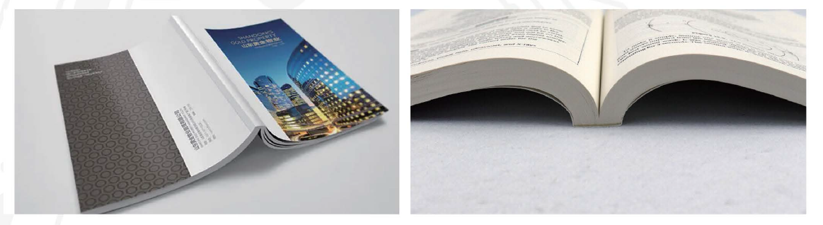 LQ-MD 5000 Application