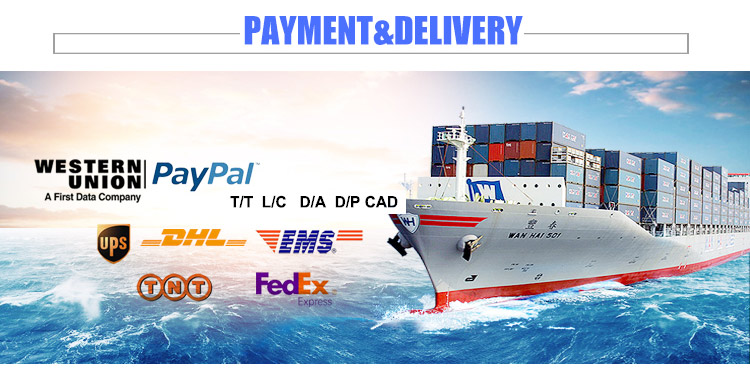 公司风貌5-Payment&Delivery