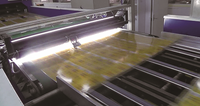 Automatic Inkjet Printing Line For Metal Sheet